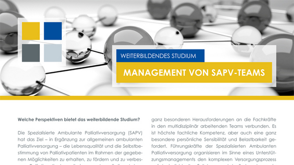 Infos und Studieninhalte (siehe unten PDF) Infos und Studieninhalte (siehe unten PDF)